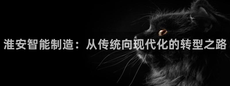 天辰娱乐1956:淮安智能制造:从传统向现代化的转型之路