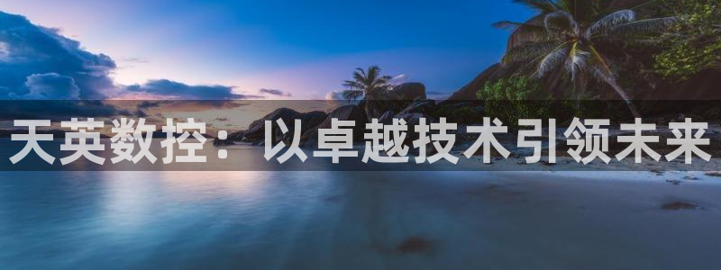 天辰水娱乐:天英数控:以卓越技术引领未来