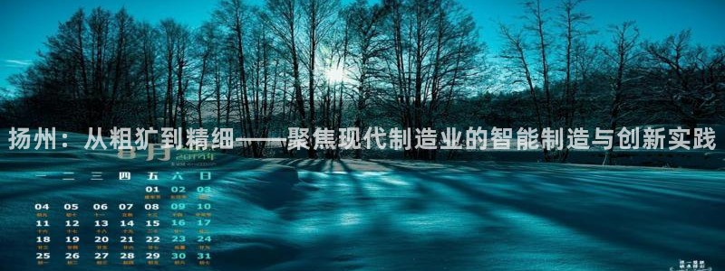 天辰娱乐的网址首页:扬州:从粗犷到精细——聚焦现代制造业的智能制造与创新实践