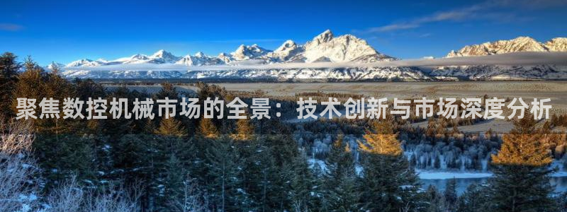 nba天辰娱乐:聚焦数控机械市场的全景:技术创新与市场深度分析