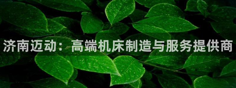 天辰娱乐国际:济南迈动:高端机床制造与服务提供商