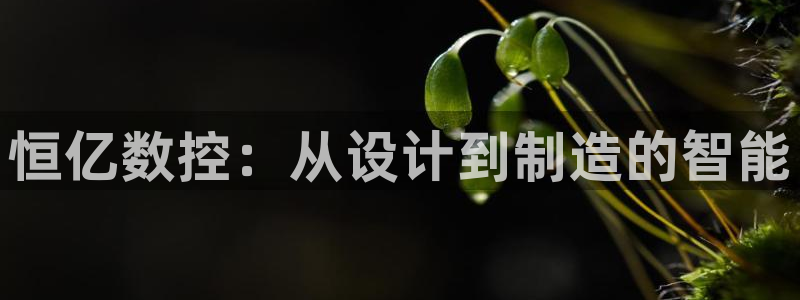天富娱乐天辰娱乐:恒亿数控:从设计到制造的智能