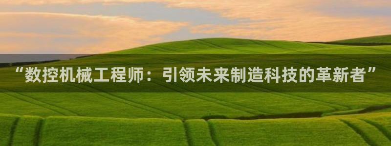辰天娱乐用品:“数控机械工程师:引领未来制造科技的革新者”