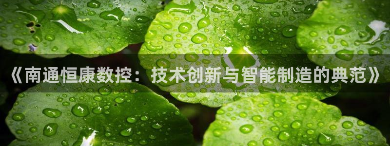 天辰娱乐957807:《南通恒康数控:技术创新与智能制造的典范》