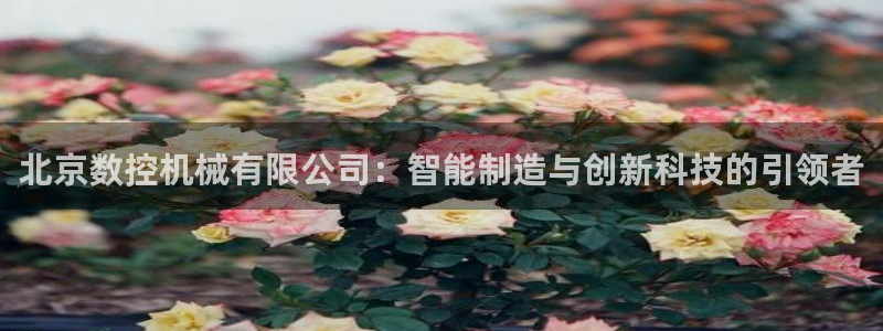 天辰娱乐测速:北京数控机械有限公司:智能制造与创新科技的引领者