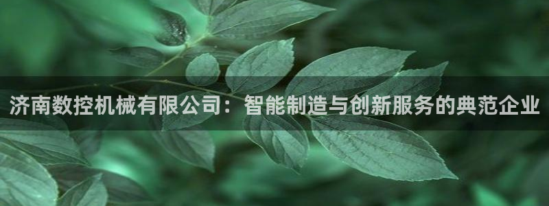 天辰 娱乐 注册:济南数控机械有限公司:智能制造与创新服务的典范企业