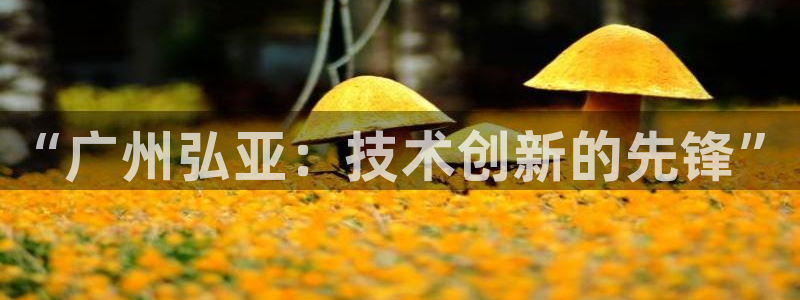 天辰娱乐的网址首页:“广州弘亚:技术创新的先锋”