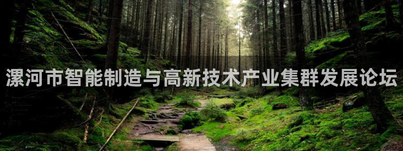南京天辰娱乐:漯河市智能制造与高新技术产业集群发展论坛