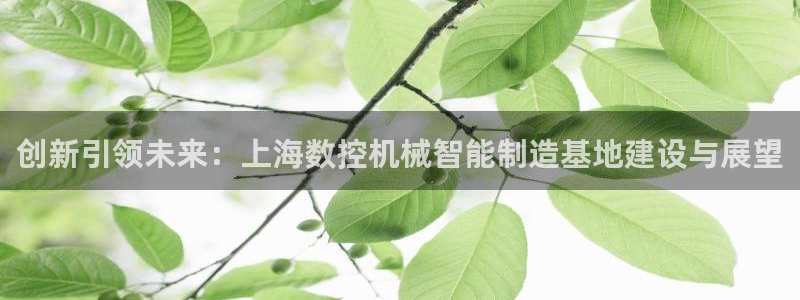 娱乐ktv天辰:创新引领未来:上海数控机械智能制造基地建设与展望